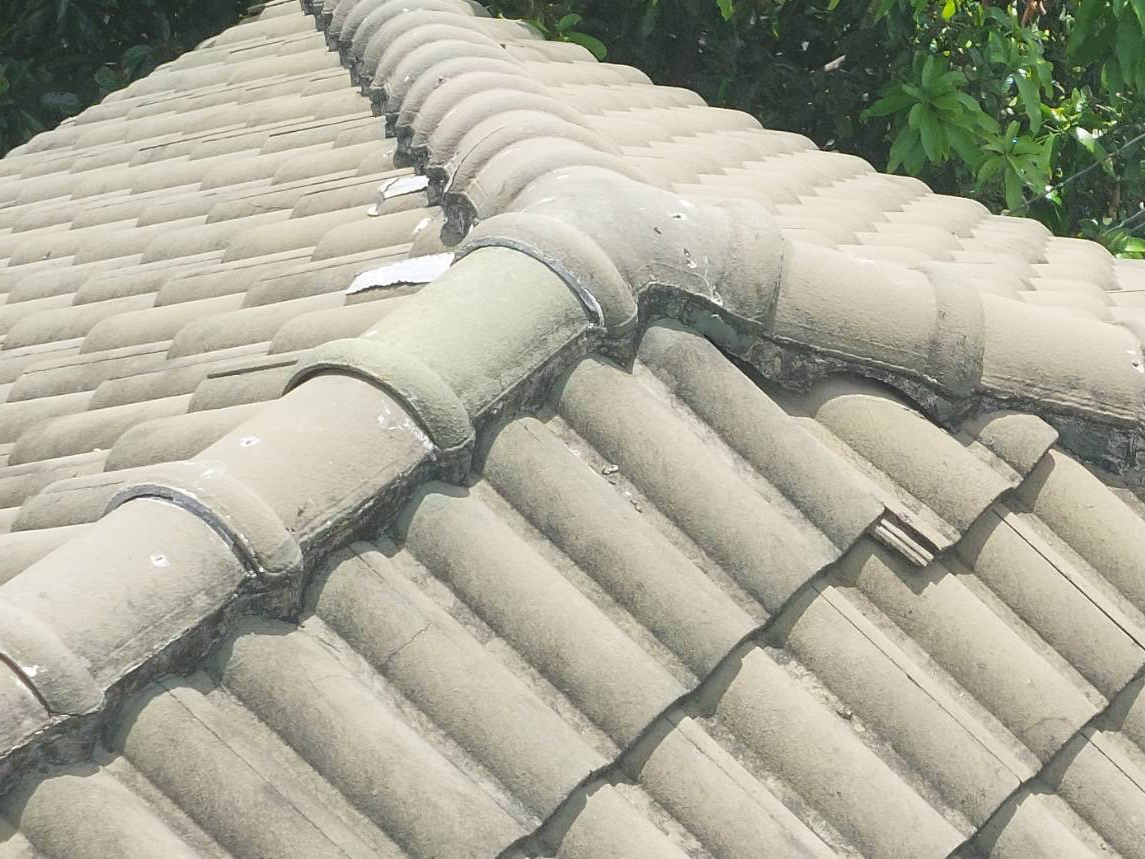 26 - https://ช่างหลังคาทรงชัย.com | ช่างหลังคาทรงชัย - รับแก้ปัญหาหลังคา รับซ่อมหลังคาทุกประเภท แก้ปัญหาตรงจุด โดยทีมช่างมืออาชีพ