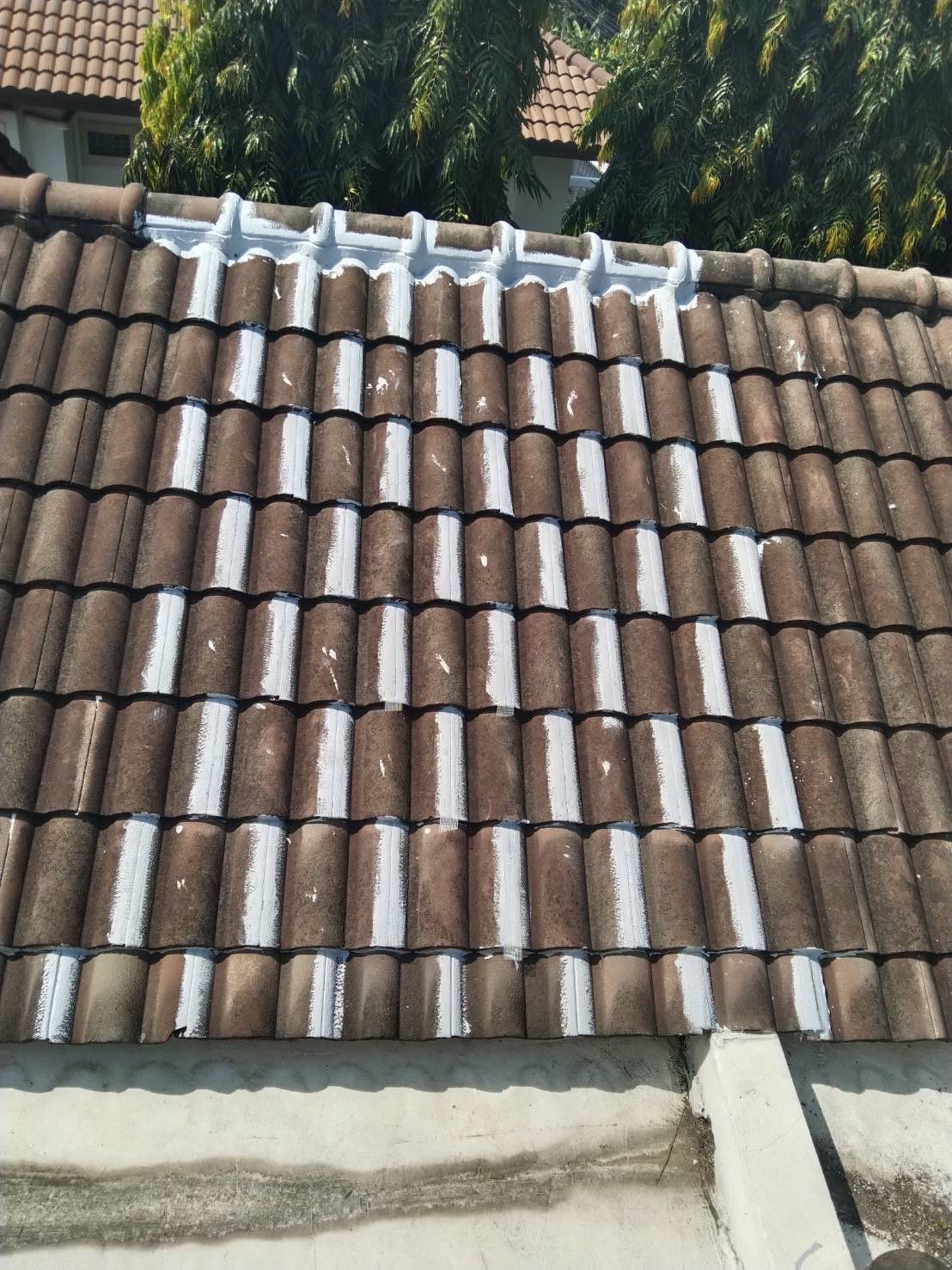 38 - https://ช่างหลังคาทรงชัย.com | ช่างหลังคาทรงชัย - รับแก้ปัญหาหลังคา รับซ่อมหลังคาทุกประเภท แก้ปัญหาตรงจุด โดยทีมช่างมืออาชีพ