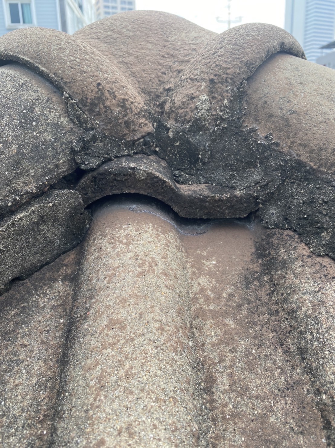 45 - https://ช่างหลังคาทรงชัย.com | ช่างหลังคาทรงชัย - รับแก้ปัญหาหลังคา รับซ่อมหลังคาทุกประเภท แก้ปัญหาตรงจุด โดยทีมช่างมืออาชีพ